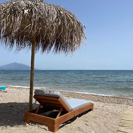 Hotel Ireon Beach Samos Town Eksteriør billede